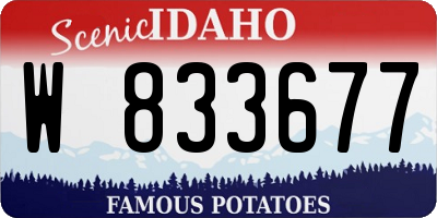 ID license plate W833677