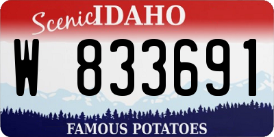 ID license plate W833691