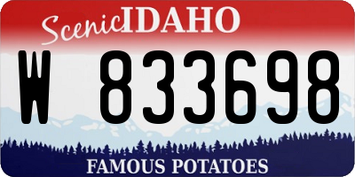 ID license plate W833698