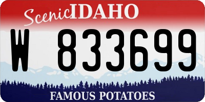ID license plate W833699