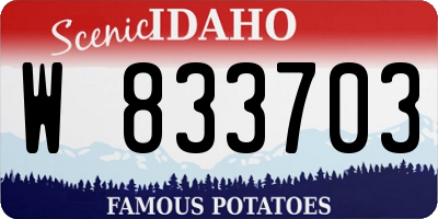 ID license plate W833703
