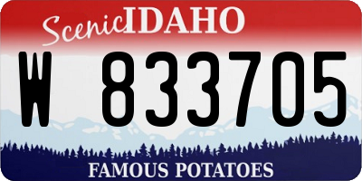 ID license plate W833705