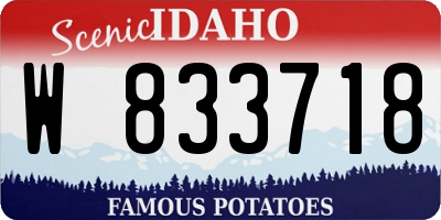 ID license plate W833718