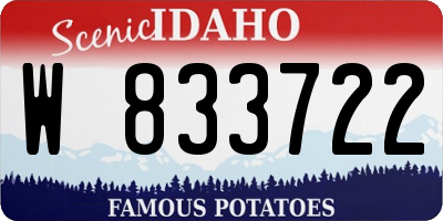ID license plate W833722