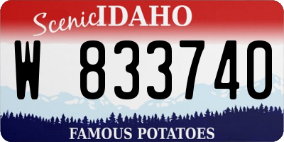 ID license plate W833740