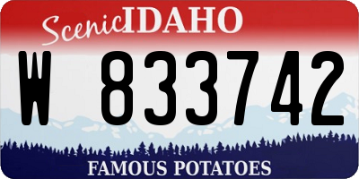 ID license plate W833742