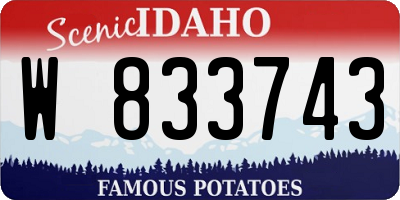 ID license plate W833743