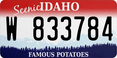 ID license plate W833784