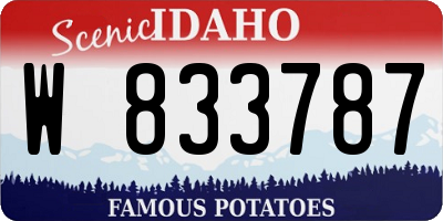 ID license plate W833787