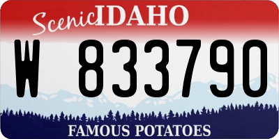 ID license plate W833790
