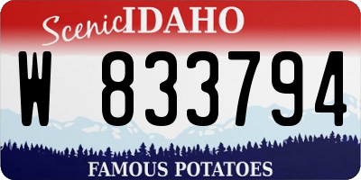 ID license plate W833794