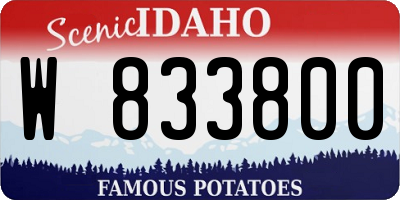 ID license plate W833800