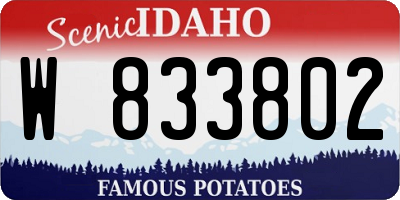 ID license plate W833802