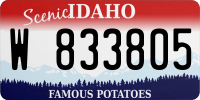 ID license plate W833805