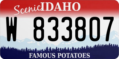 ID license plate W833807