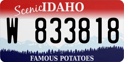 ID license plate W833818