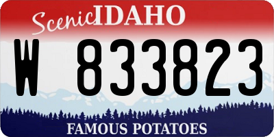 ID license plate W833823