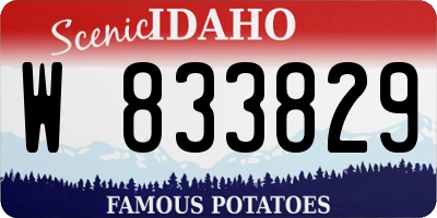 ID license plate W833829