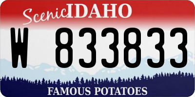 ID license plate W833833
