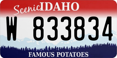 ID license plate W833834