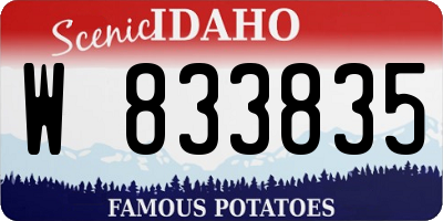 ID license plate W833835