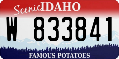 ID license plate W833841
