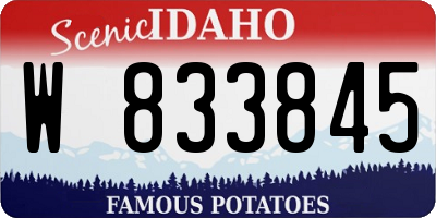 ID license plate W833845