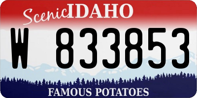 ID license plate W833853