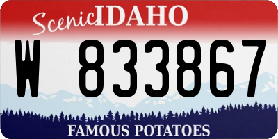 ID license plate W833867