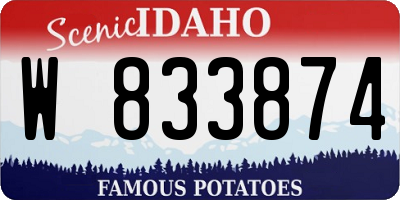 ID license plate W833874