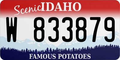 ID license plate W833879