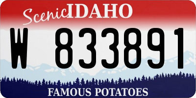 ID license plate W833891