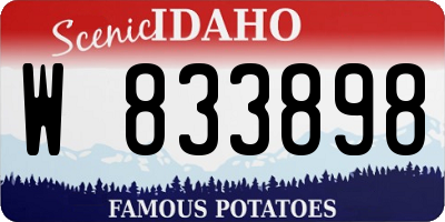 ID license plate W833898