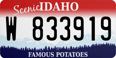 ID license plate W833919