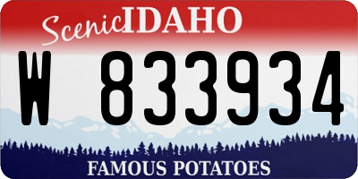 ID license plate W833934