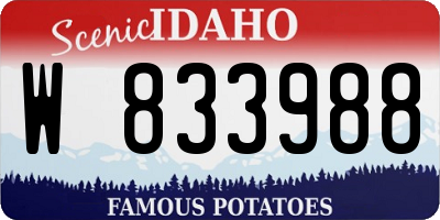 ID license plate W833988