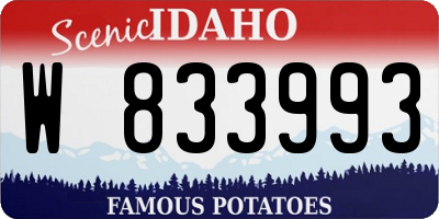 ID license plate W833993