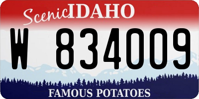 ID license plate W834009