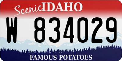 ID license plate W834029