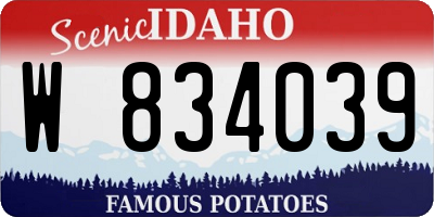 ID license plate W834039