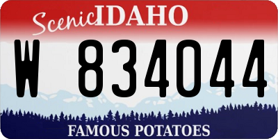 ID license plate W834044