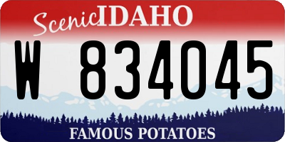 ID license plate W834045