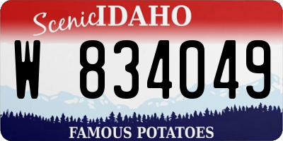 ID license plate W834049