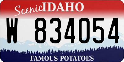 ID license plate W834054