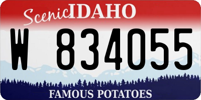 ID license plate W834055