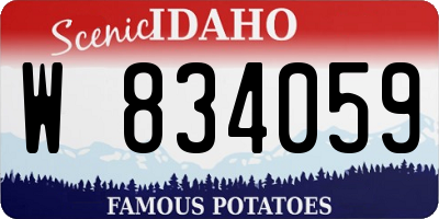 ID license plate W834059