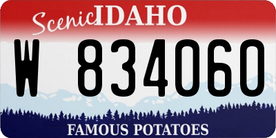 ID license plate W834060