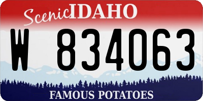 ID license plate W834063