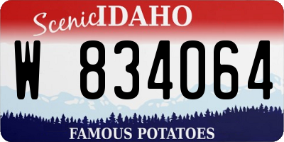 ID license plate W834064