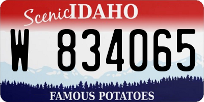 ID license plate W834065